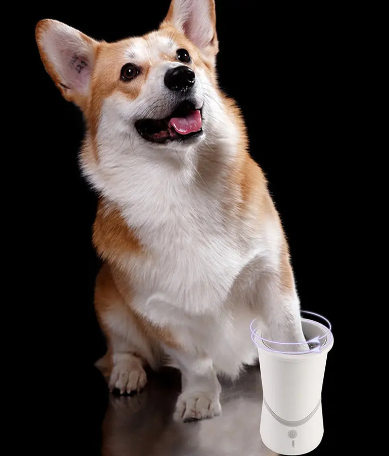 Automated Canine Paw Cleaning Device